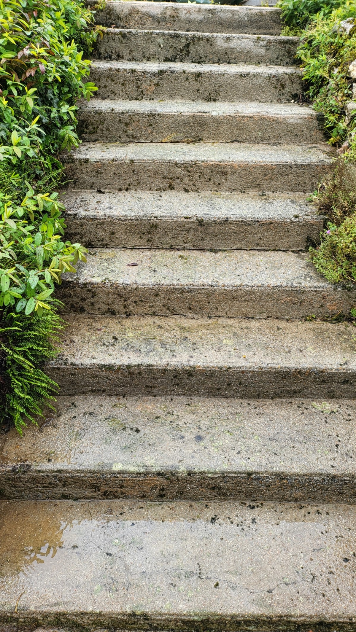 stairs after pressure wash